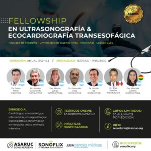 Fellowship Edición Verano